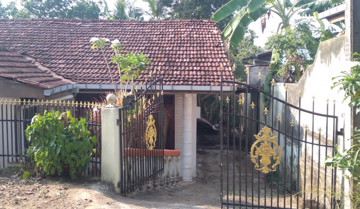 WhatsApp Image 2022-04-25 at 4.08.31 PM (1)