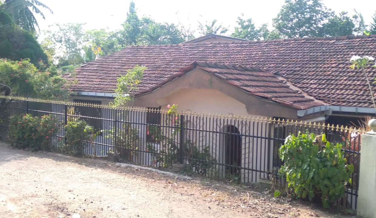 WhatsApp Image 2022-04-25 at 4.08.31 PM (2)