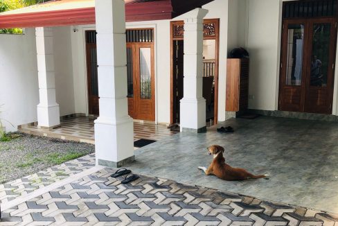 WhatsApp Image 2022-05-02 at 11.03.19 PM