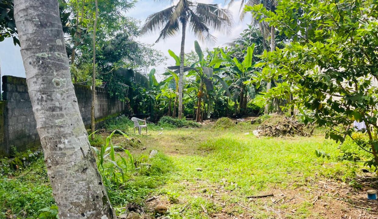 C5D03617-00AE-4F67-82FD-7E1E77013A77