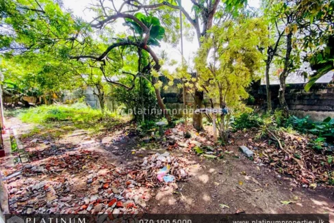 IMG-20230630-WA0398