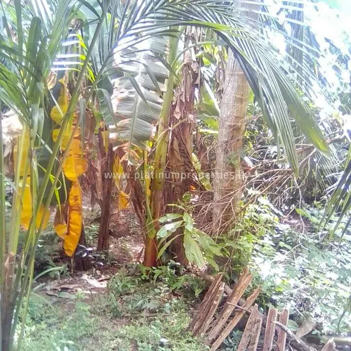 IMG-20230805-WA0163