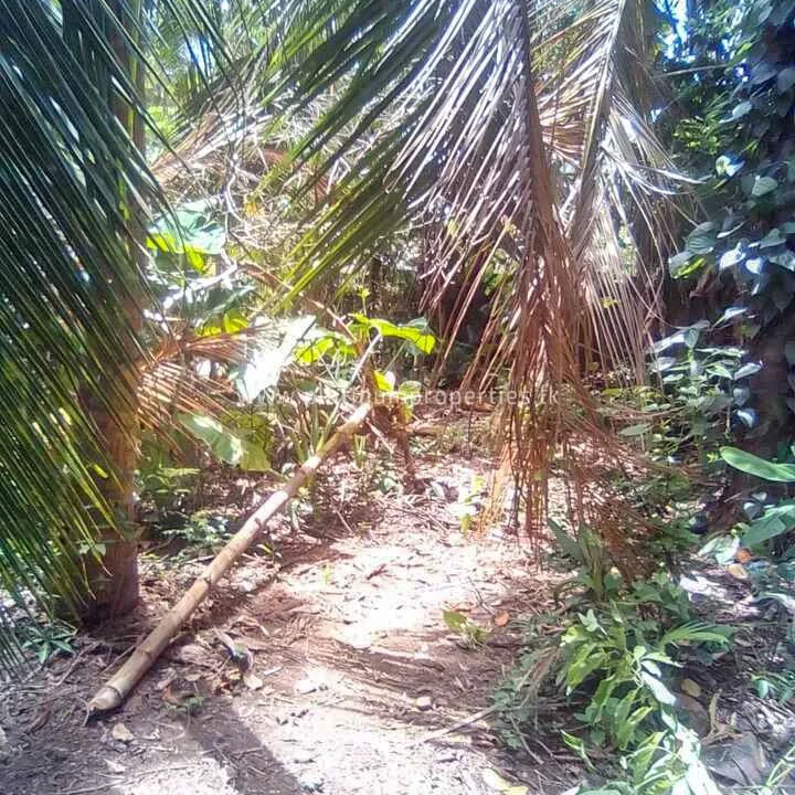 IMG-20230805-WA0164