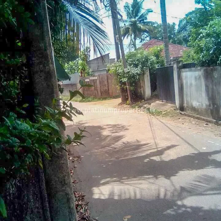 IMG-20230805-WA0167
