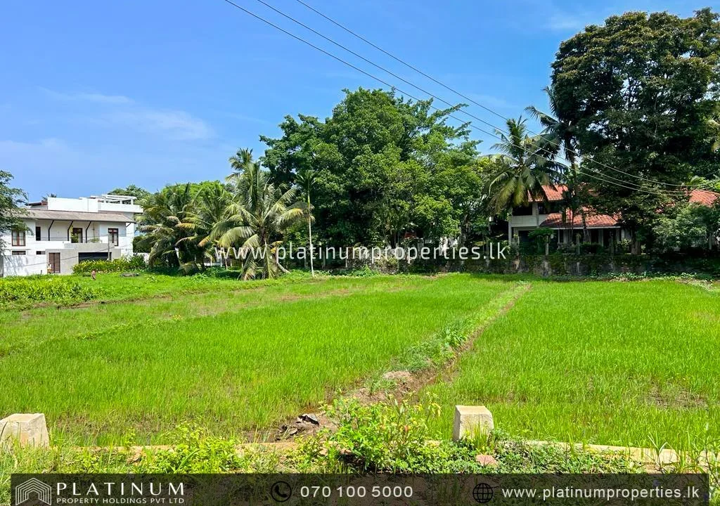 IMG-20240213-WA0120
