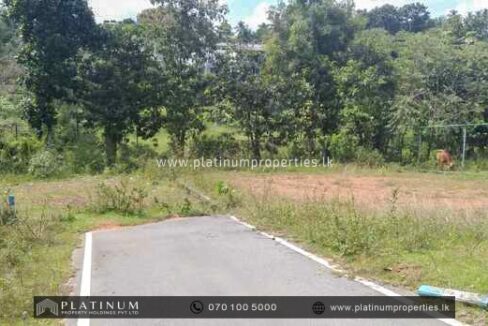 IMG-20240430-WA0130