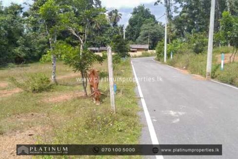 IMG-20240430-WA0136
