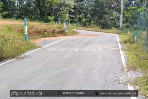 IMG-20240430-WA0141